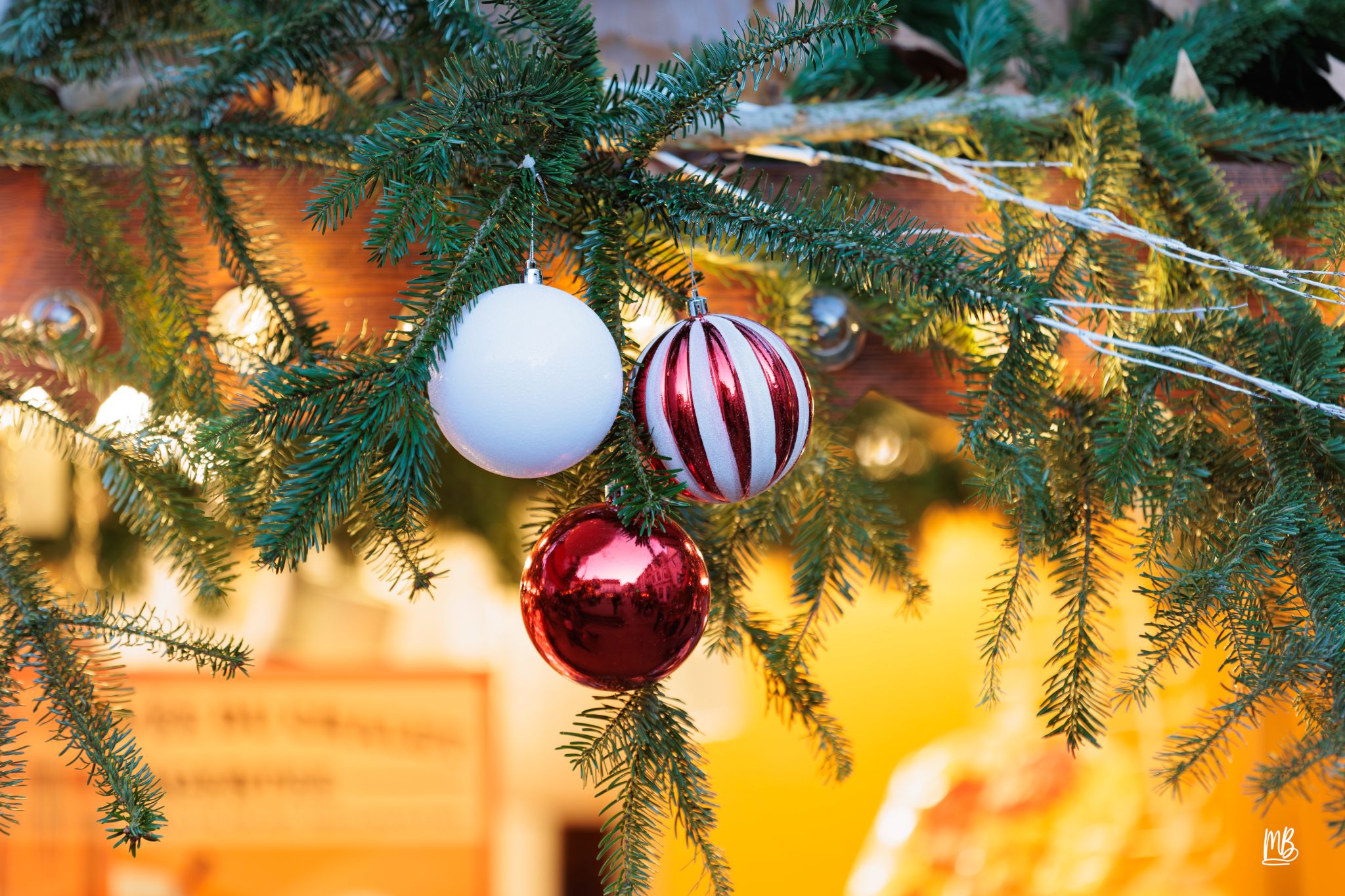 20241129 Noël à Haguenau MB (32 sur 114)